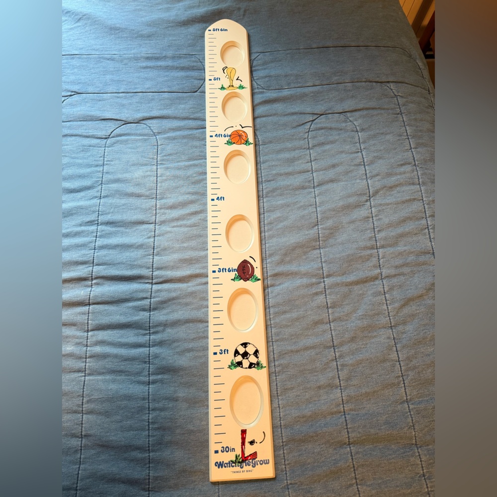 NWOT Kids Wooden Growth Chart - Sports theme